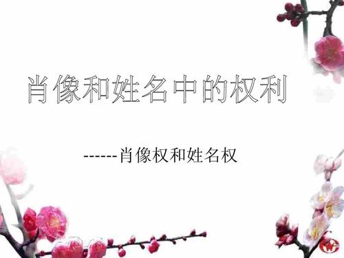 名人姓名权和商标权有哪些冲突？