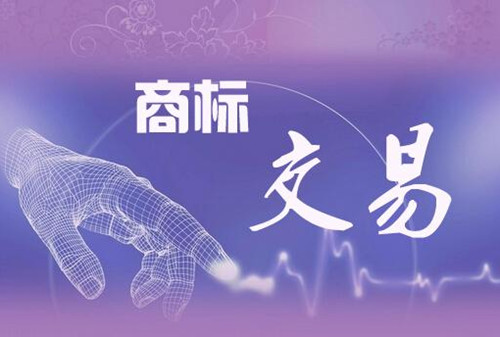 商标转让过户注意事项不知道你们有注意过吗？