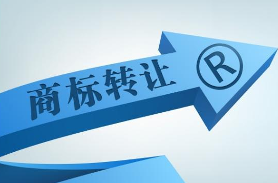 我的商标申请怎么又被驳回了呢？这是什么原因？