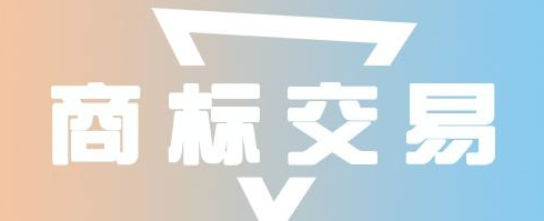 商标转让与过户的全面指南及所需材料清单