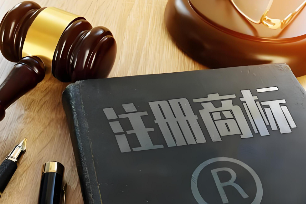 商标驳回复审流程的注意事项有哪些？