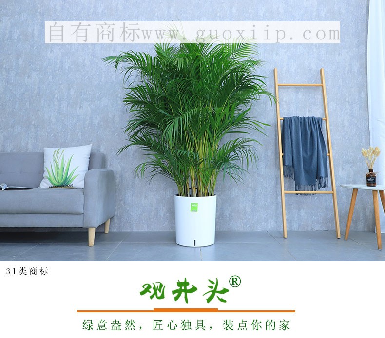 31类商标出售转让