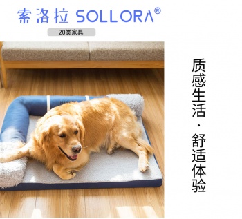 20类索洛拉 SOLLORA 