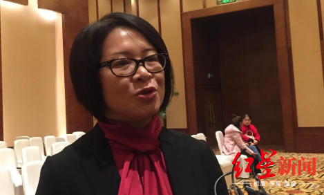 中宣部版权管理局副局长赵秀玲接受记者采访