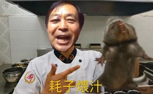 耗子尾汁商标注册